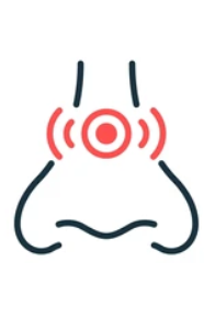 비염 원인과 증상