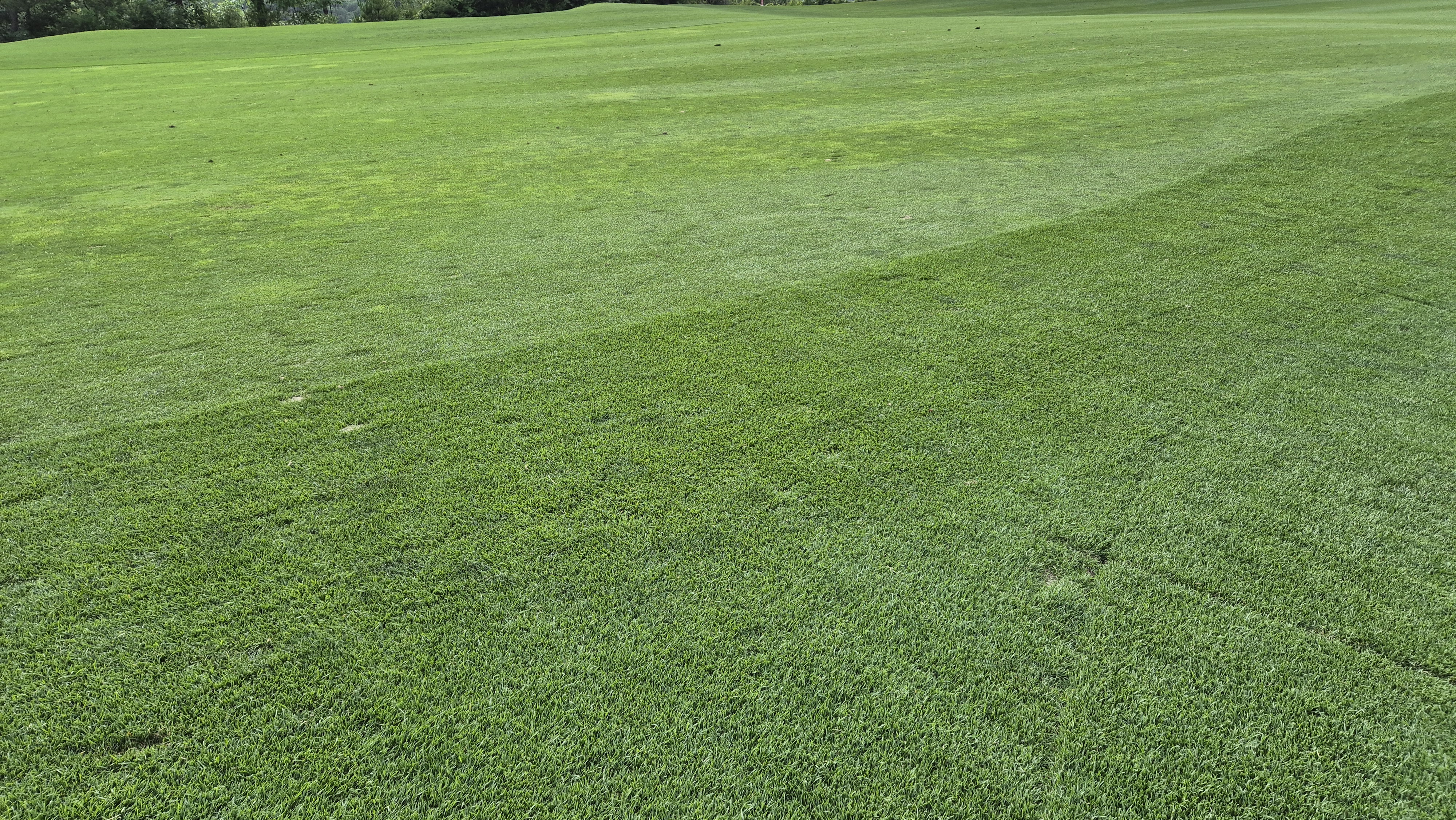 오너스gc 라운드 후기