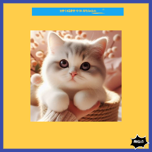 고양이-무료분양