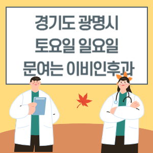 광명시 토요일 일요일 이비인후과 진료 문여는 병원 리스트