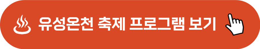 유성온천 크리스마스 축제