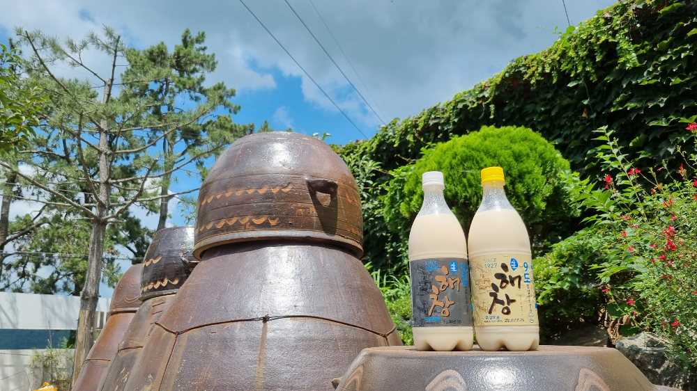 해창막걸리