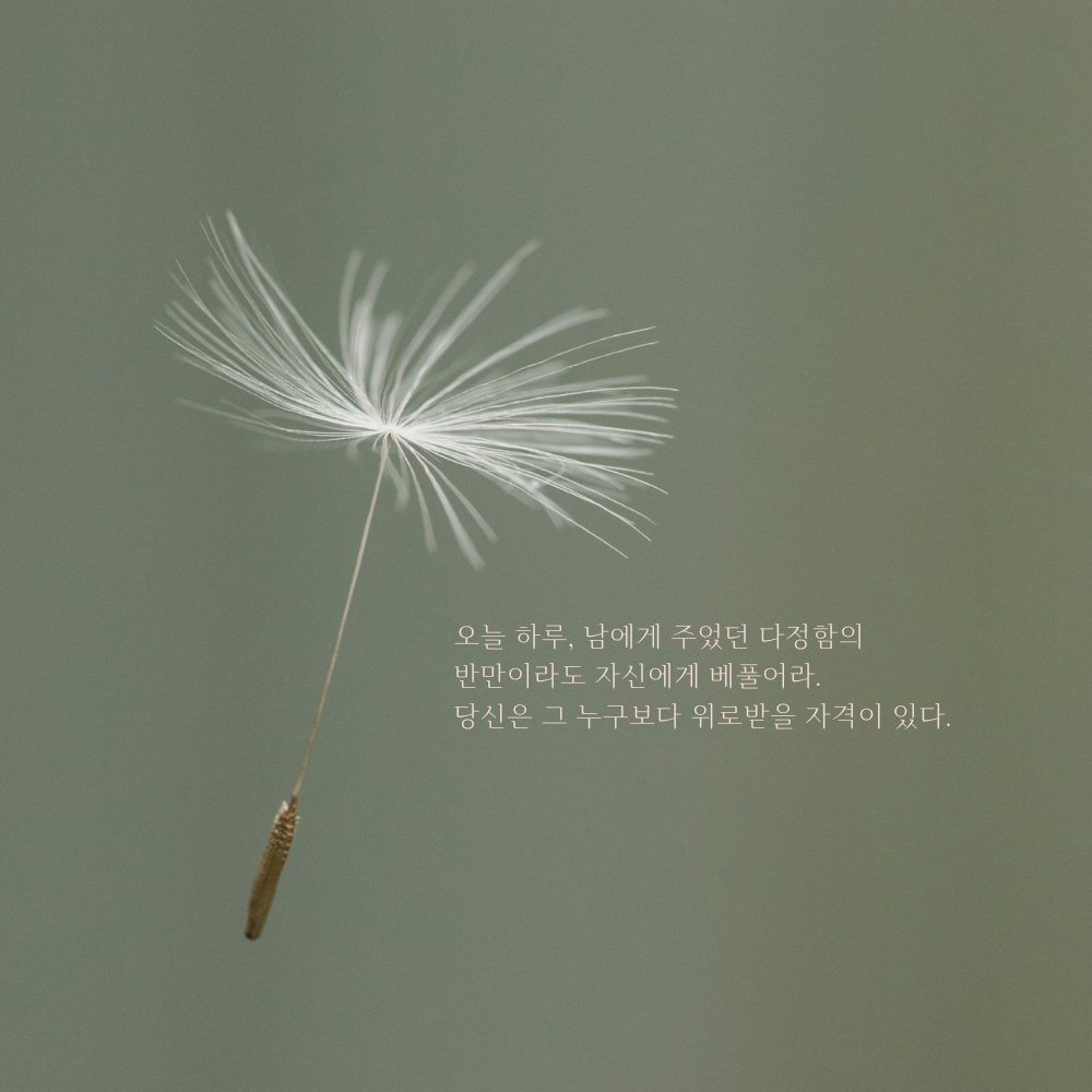 짧은 명언 인생 조언 글귀 밤에 잠자기 전 보기 좋은 문구 이미지