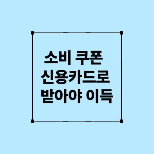 소비쿠폰 신용카드로 받아야 이익