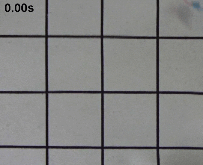 한국 과학자들, 인간 심장 줄기세포로 움직이는 로봇 물고기 개발 Watch these robotic fish swim to the beat of human heart