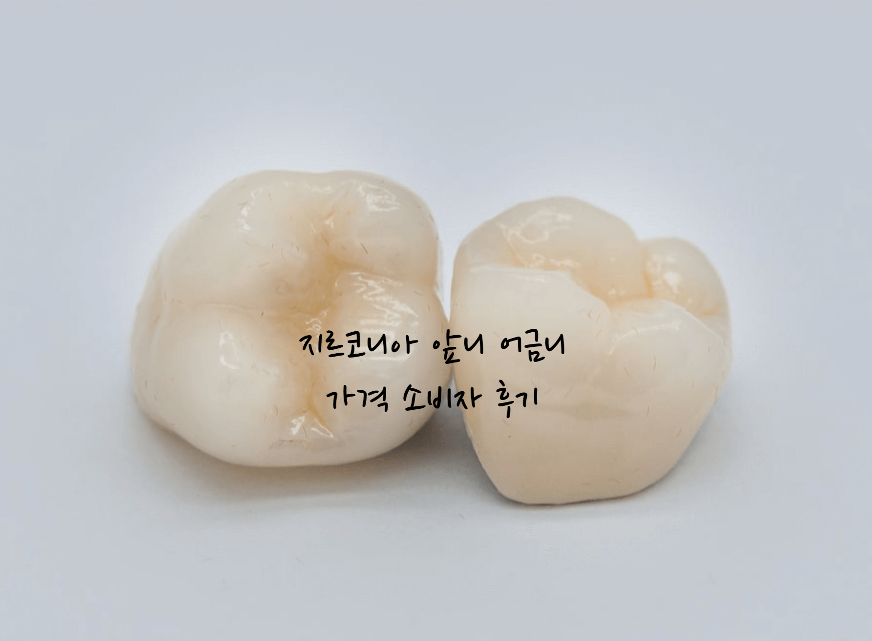 지르코니아 어금니