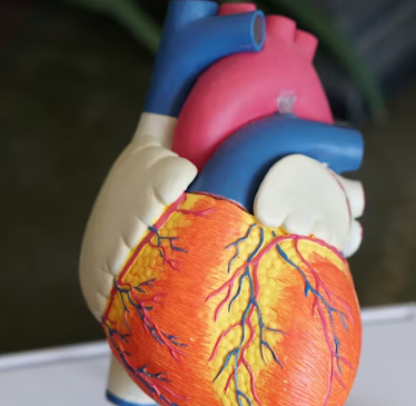 심근경색 진단방법 치료 방법 합병증