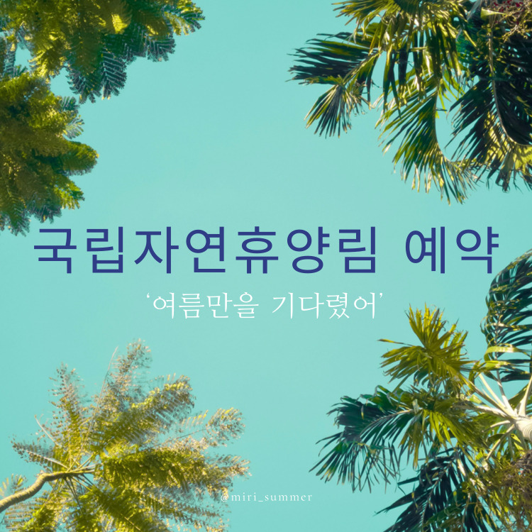 국립 자연휴양림 예약 꿀팁, 이걸 알면 실패 없다!