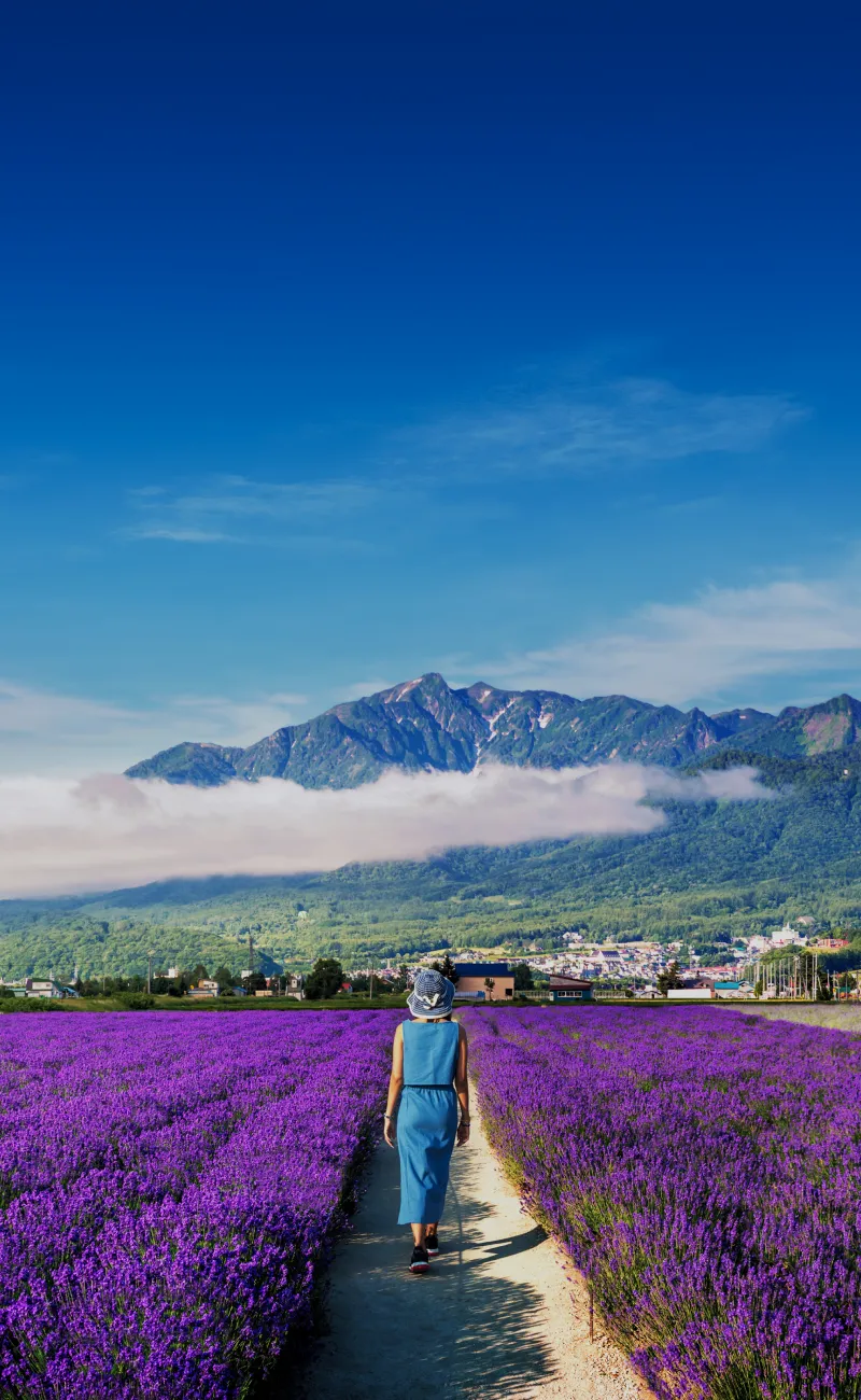 홋카이도 여름 여행코스 4박5일 일정과 맛집 정보 정리_5