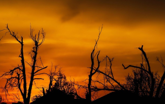 올리브영 가맹점찾기 &amp;#124; 가장 가까운 매장 쉽게 찾는 법 1