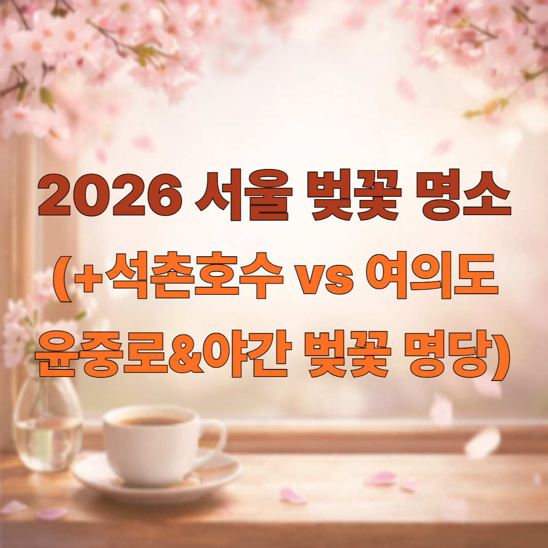 2026 서울 벚꽃 명소 추천: 석촌호수 vs 여의도 윤중로, 야간 벚꽃 명당과 가는 법 총정리
