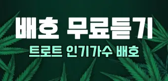 트로트 최신 인기곡 TOP10 무료듣기 메들리 2025_8