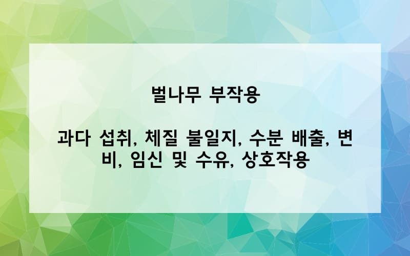 벌나무 부작용