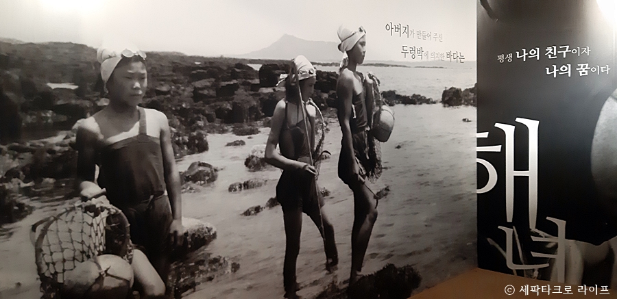 해녀삶