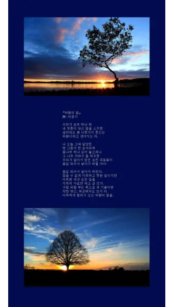 명시 우화의 강 마종기 전문 마종기 아름다운 시 10선_20