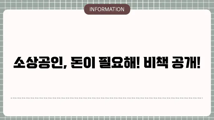 소상공인 트별융자 지원사업: 자금 확보 전략