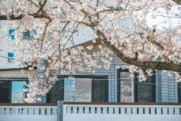 재산세-납부기간-납부방법-절세꿀팁