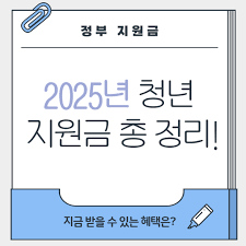 청년지원금