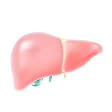 지방간 없애는 방법