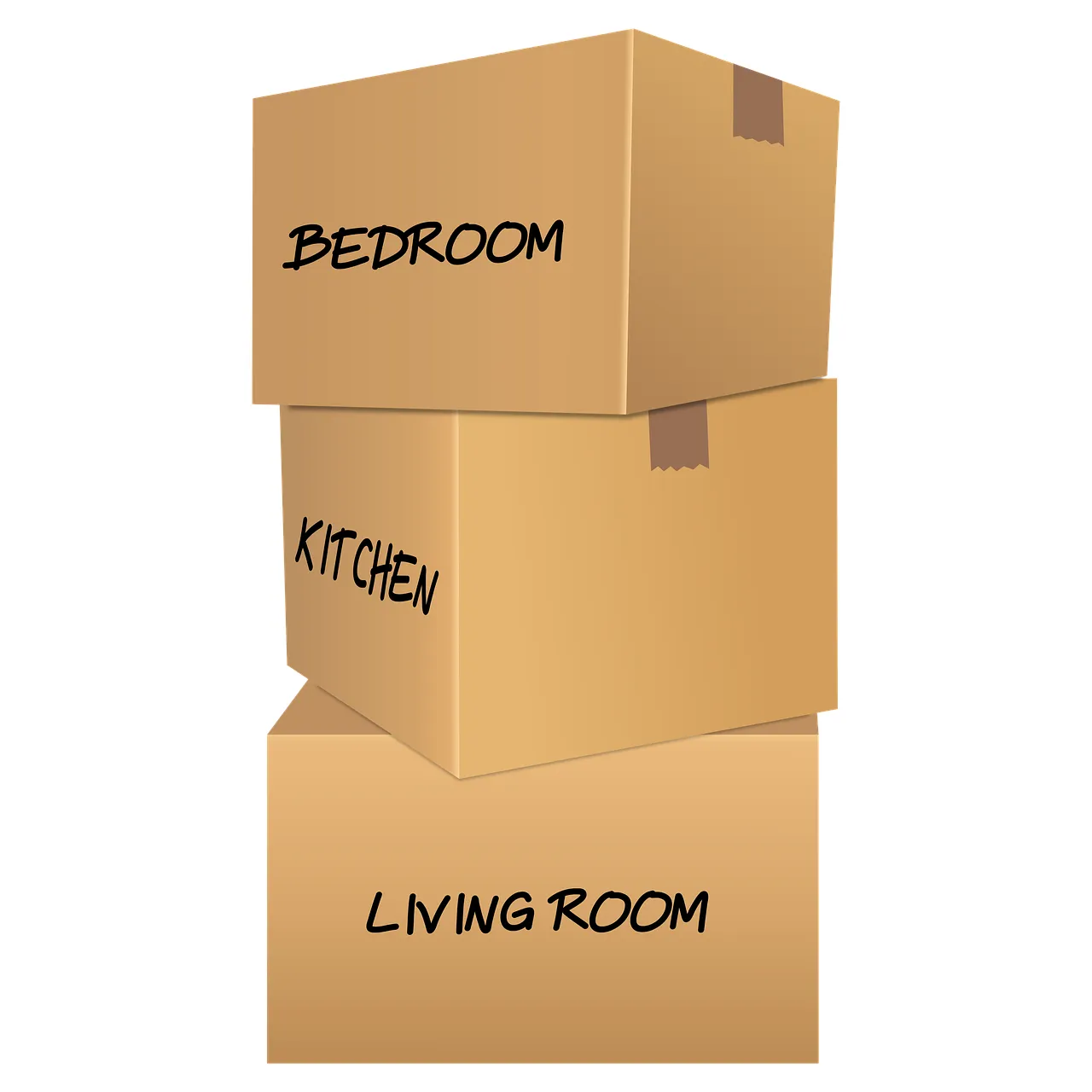 서울시 청년 이사비 지원