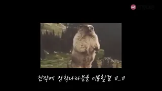 장착나라 소개 영상