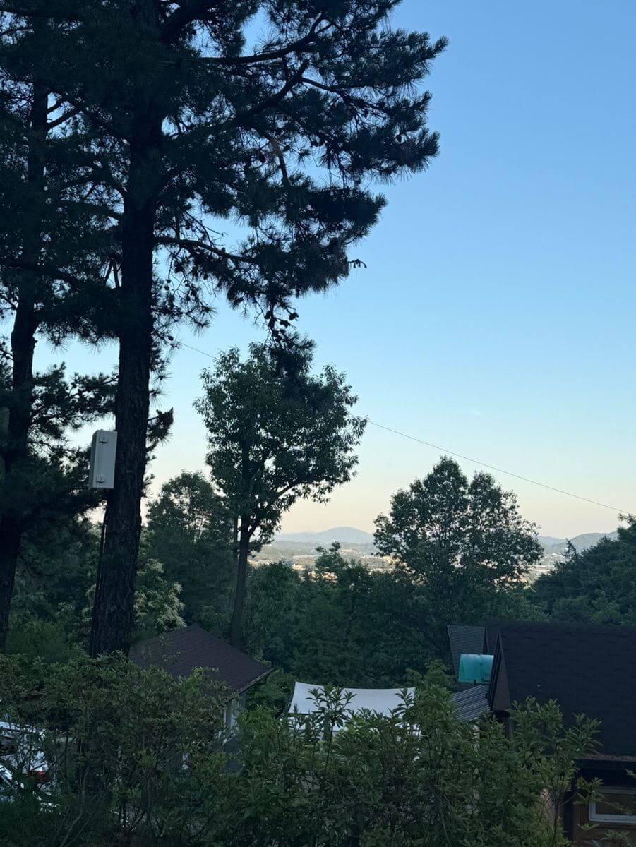용인 자연숲캠핑장 숲속 전경과 주변 분위기