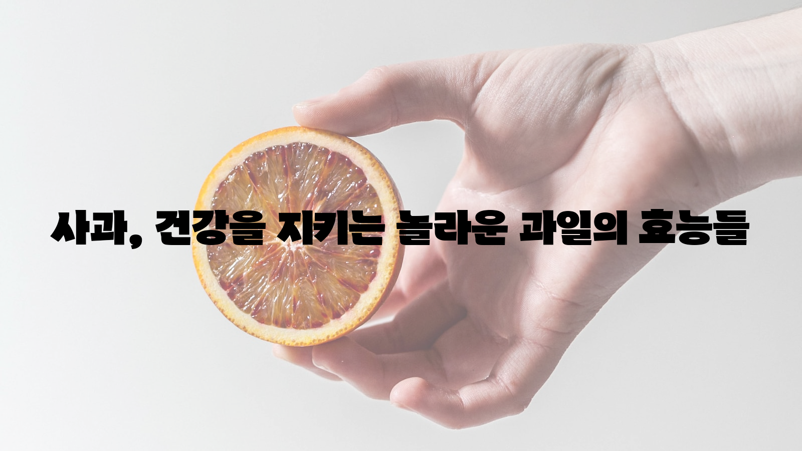 사과, 건강, 과일