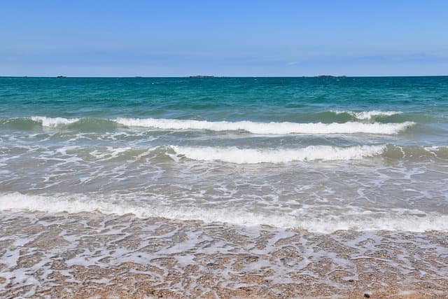 해수욕장 개장일