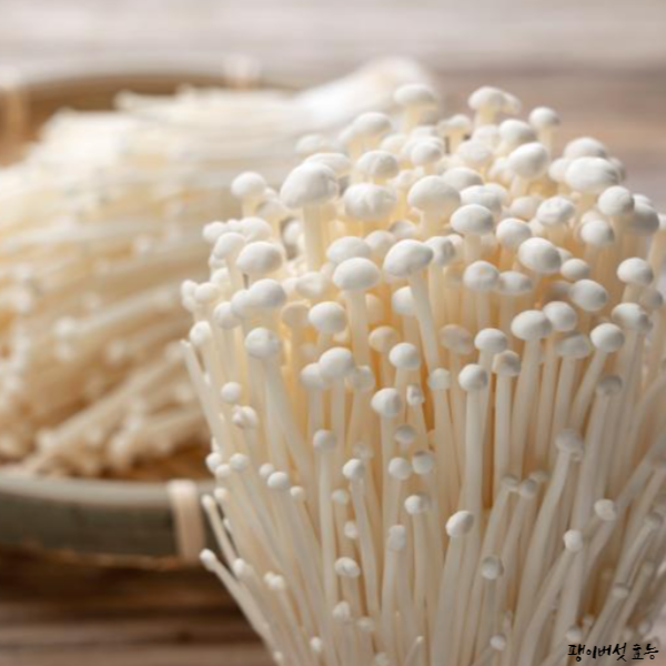 팽이버섯 효능│팽이버섯 효능 알고 드세요!