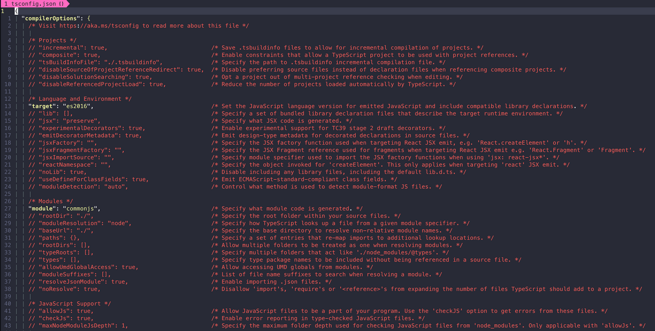 tsconfig.json 예시화면