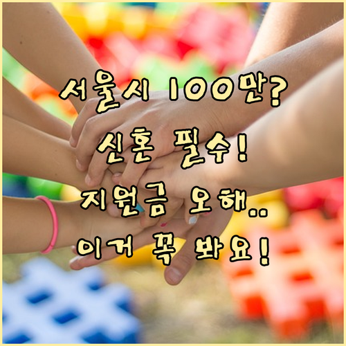 서울시 신혼부부 100만원 지원, 사..