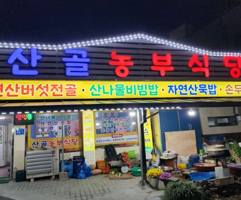 충주 수안보 산골농부식당 한정식 &amp;#124; 6시 내고향 방송 나온 시골 밥상&middot;산나물 비빔밥 맛집