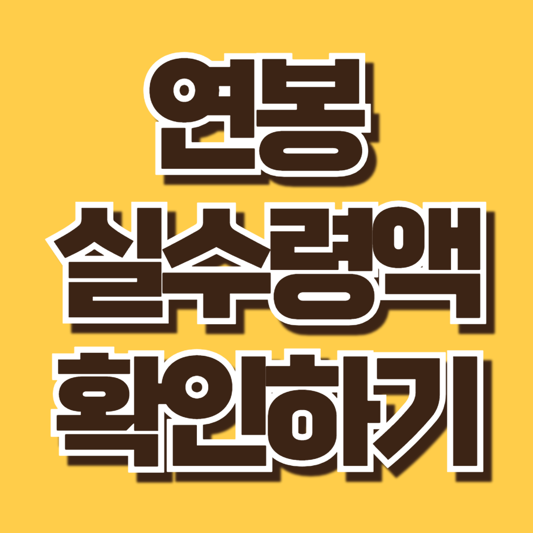 연봉 실수령액 계산기