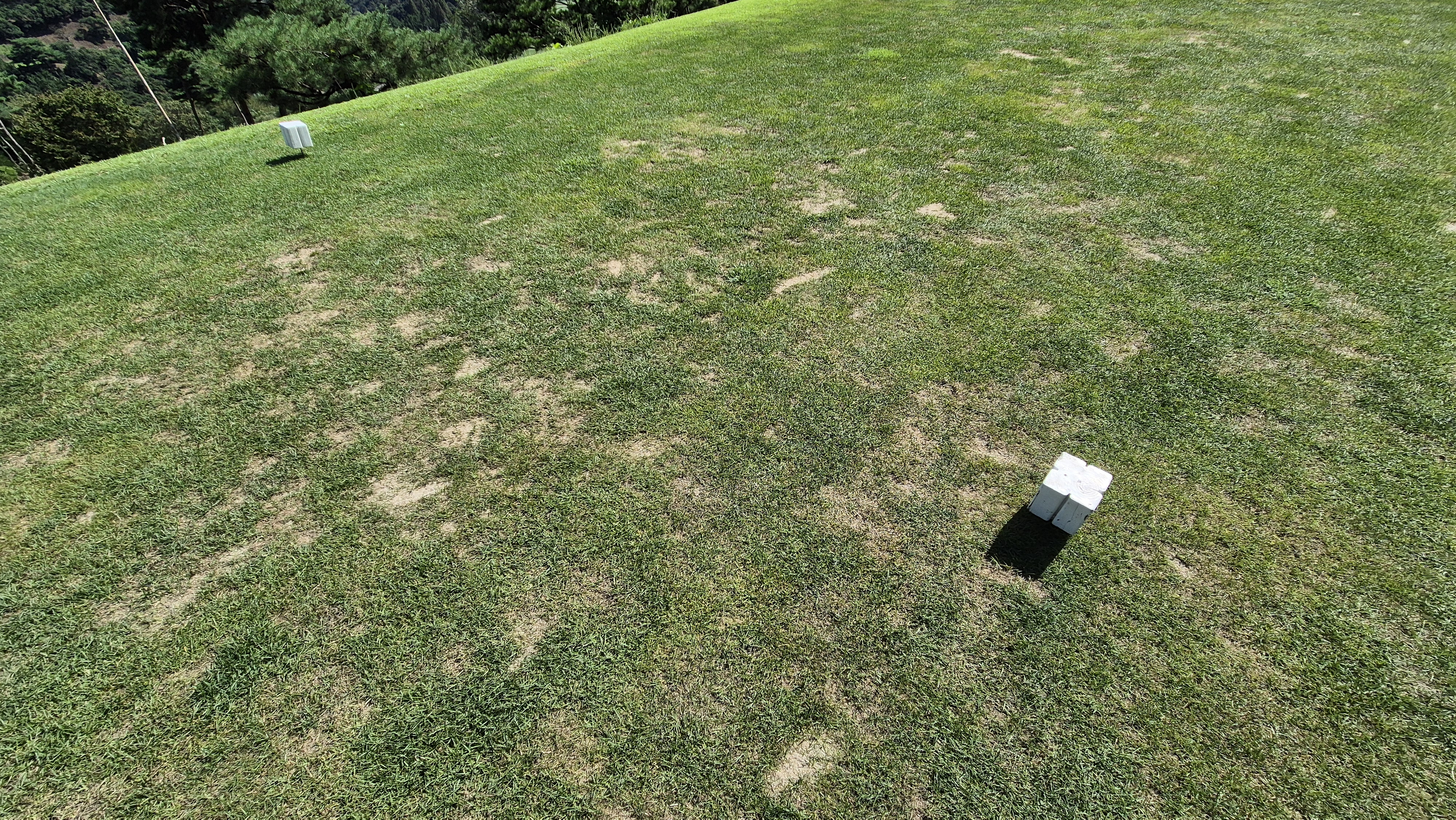 마론cc 라운드 후기