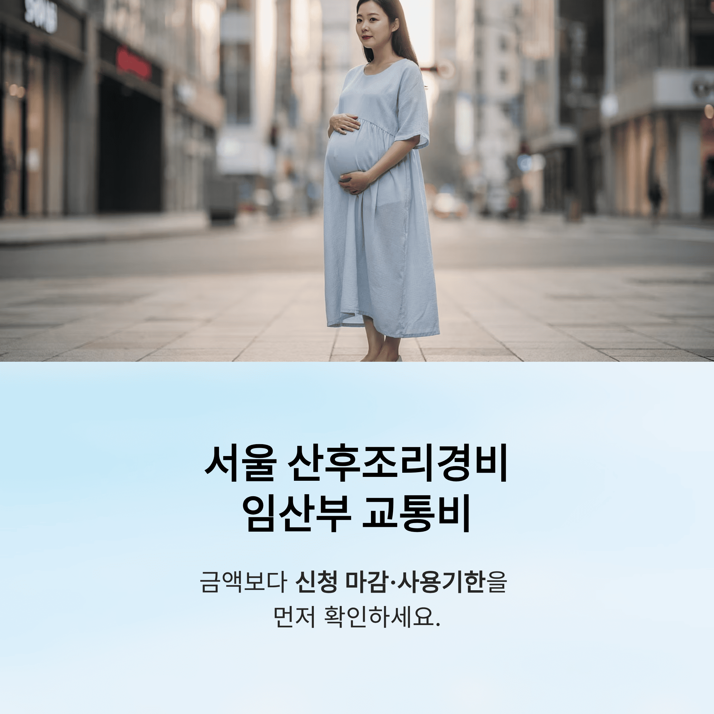 서울 산 후 조리 경비 임산부 교통비