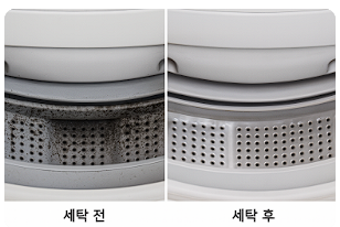 세탁조 백식초 사용법, 백식초로 세탁기 청소하는 법, 통돌이 세탁조 청소 과정