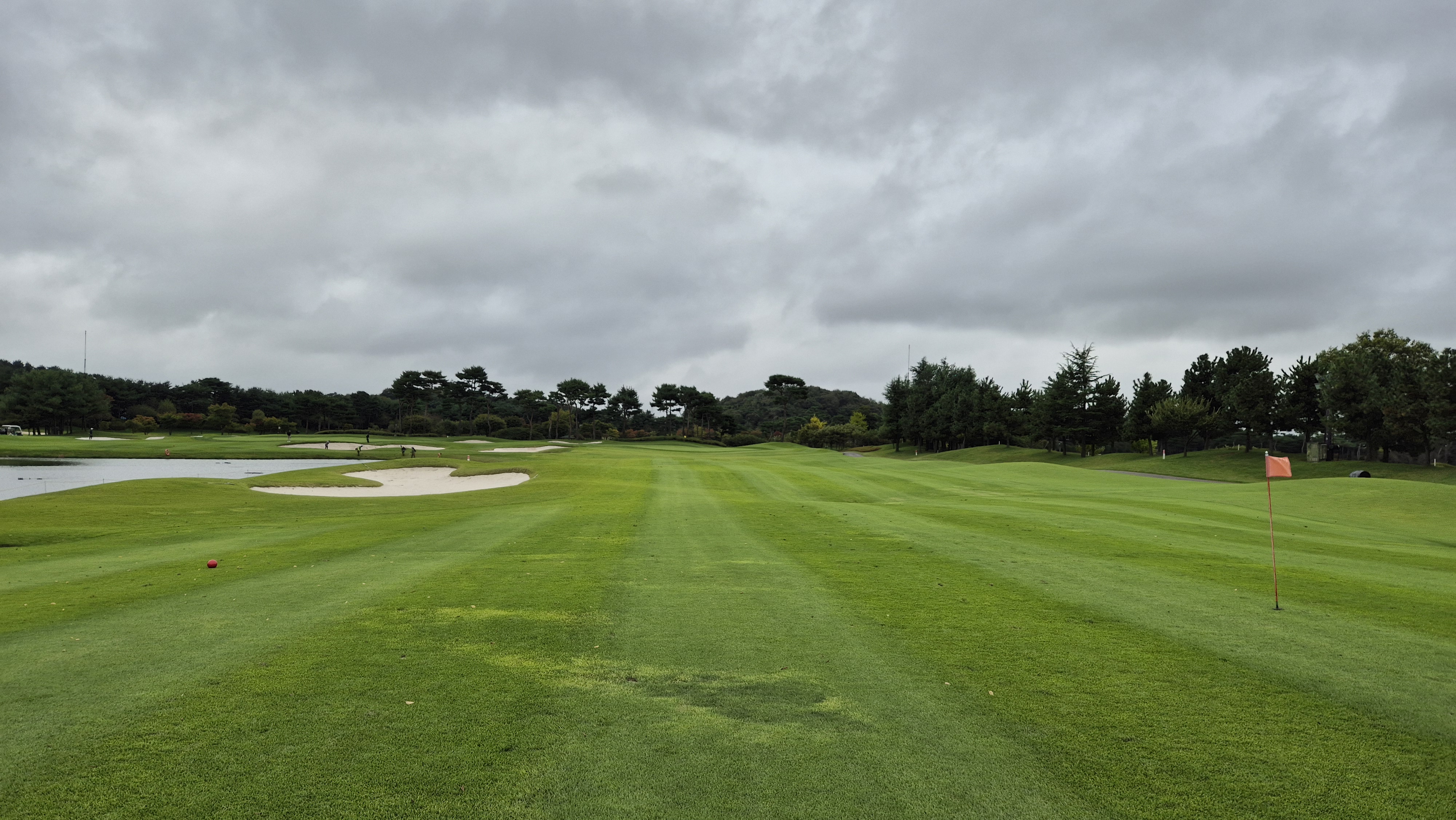 파인스톤cc 파인 코스