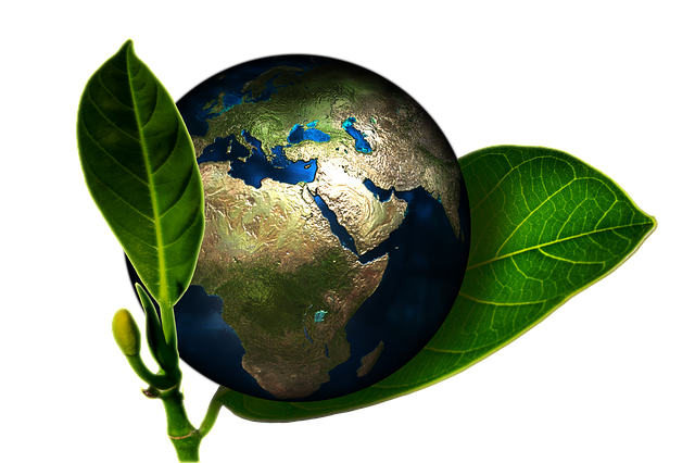 지속가능성 과학자 특수직업인, AI 환경 복원 시뮬레이션 연구원