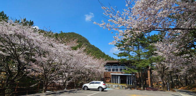 국립자연휴양림