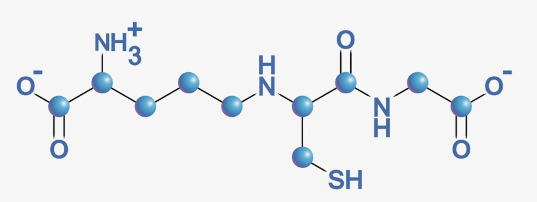 글루타치온-효능
