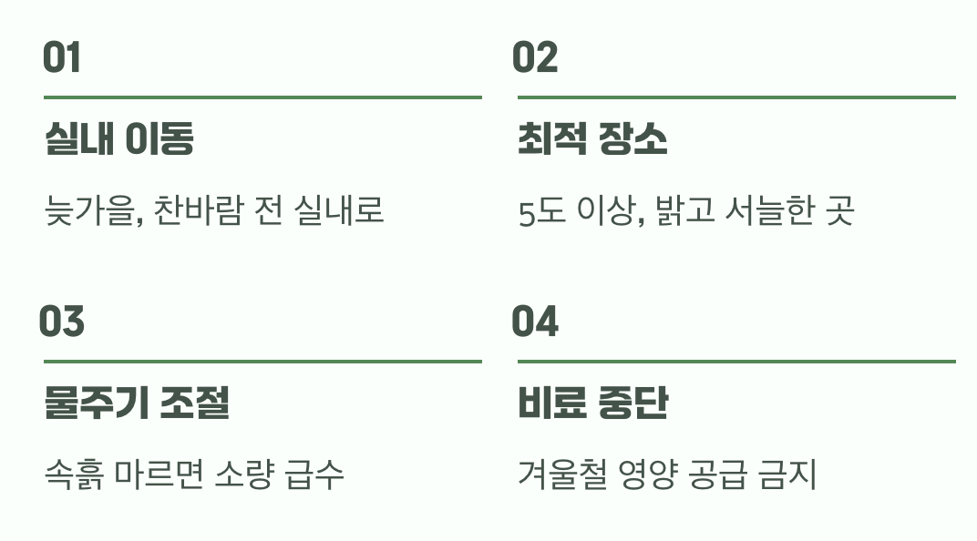 겨울, 여왕의 휴식 시간