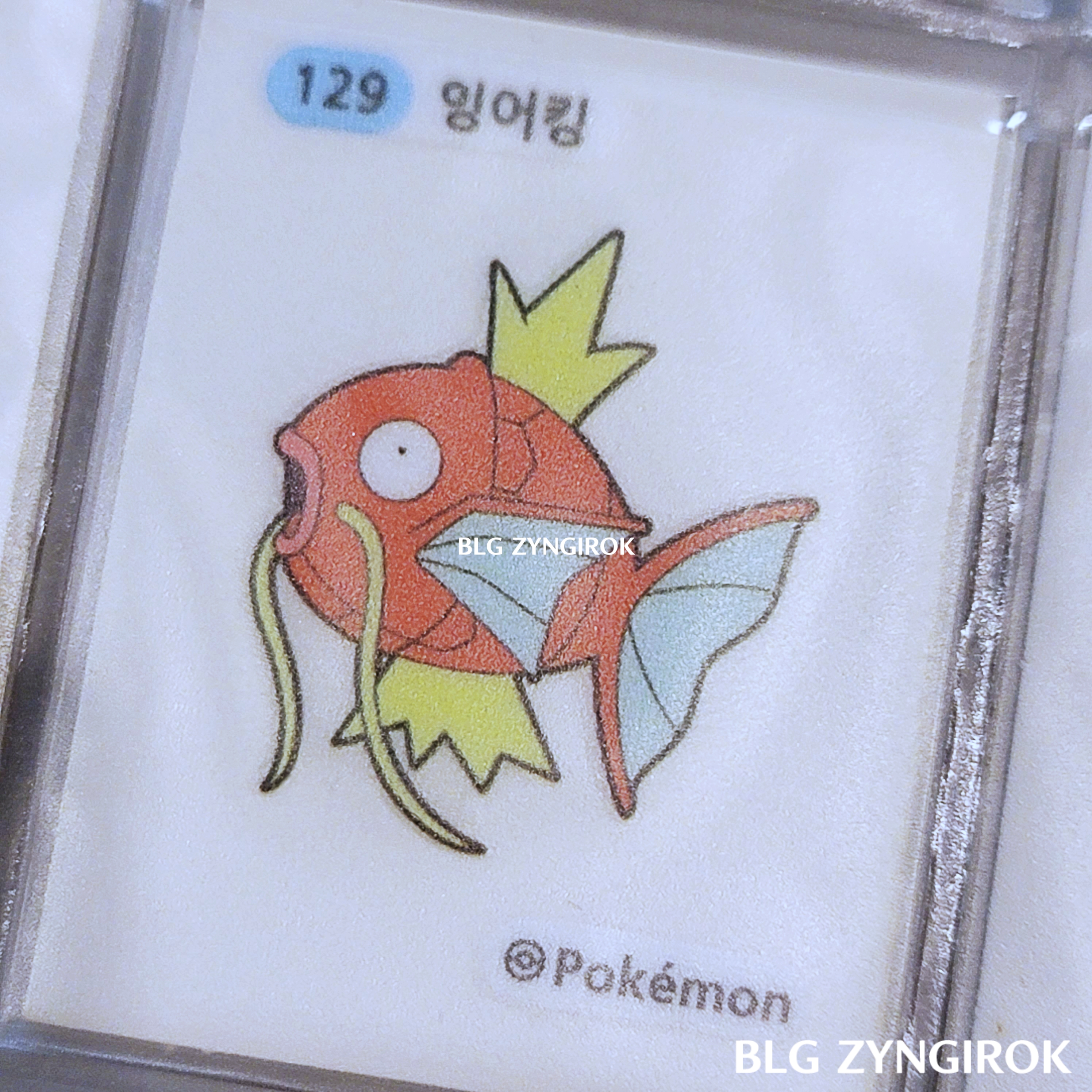 띠부띠부씰-잉어킹이다.