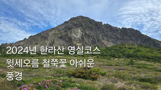 한라산 국립공원 실시간 CCTV 모바일_6