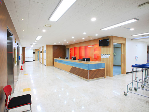 고양시 장항1동 정형외과 유명하고 잘하는 곳 추천 TOP 5