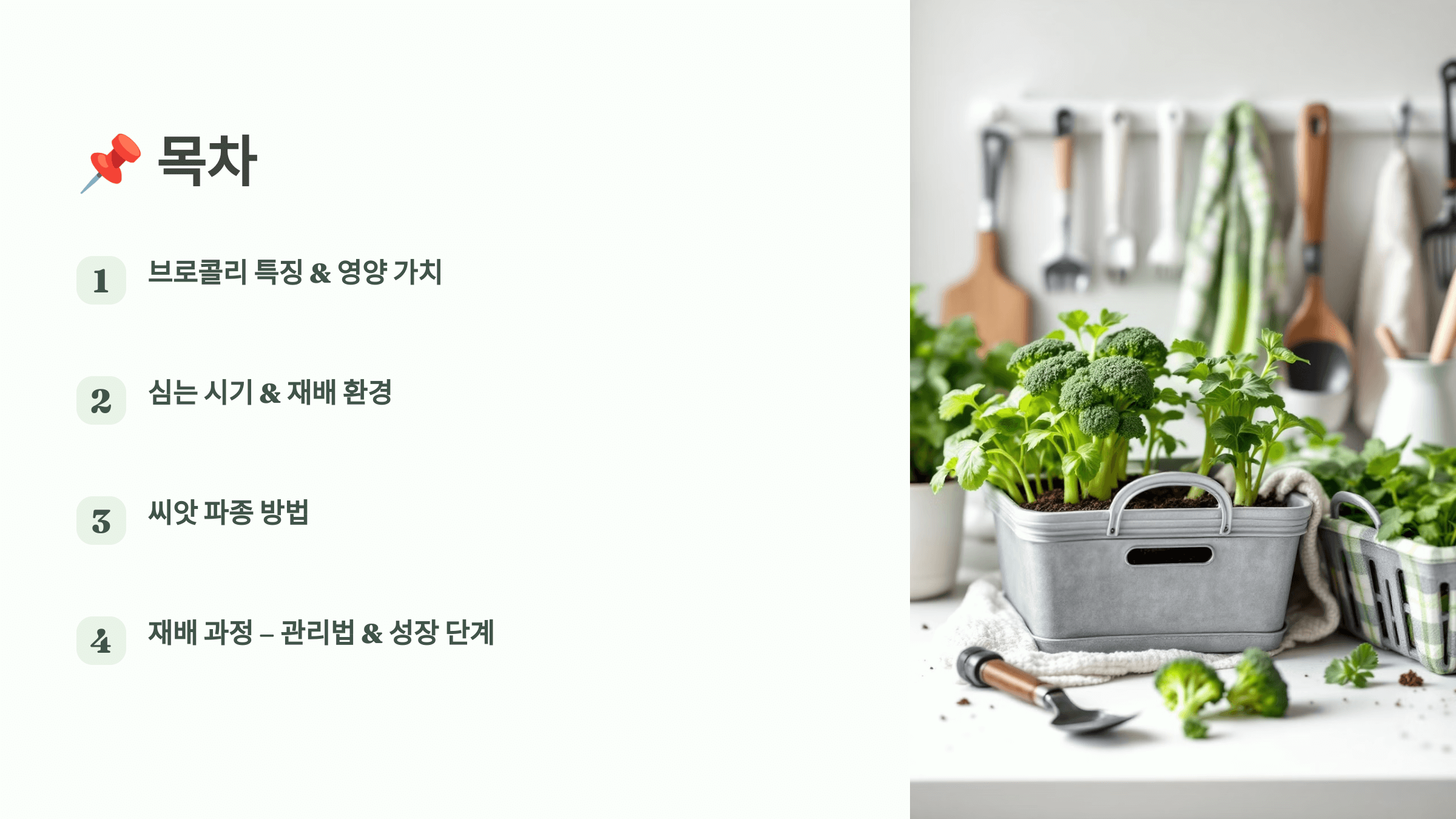 브로콜리 사진입니다.