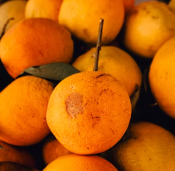 비타민 c 효능 하루 권장량 과다복용 부작용 많은 음식