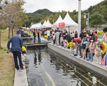 진안홍삼축제_1
