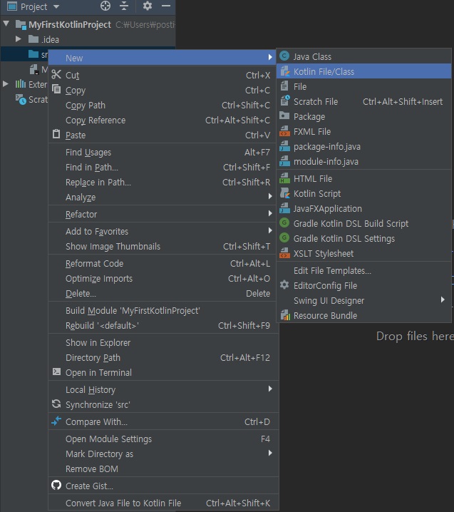 코틀린 파일 및 클래스 설정