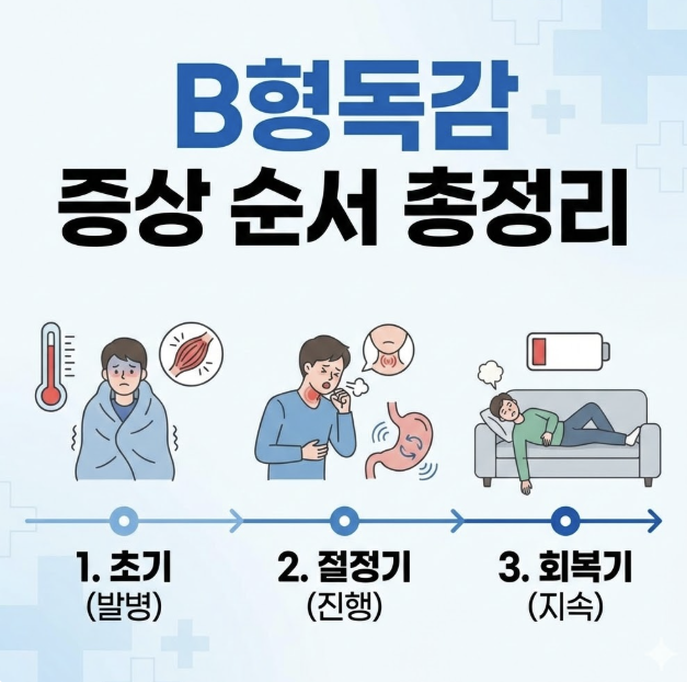 B형독감 증상