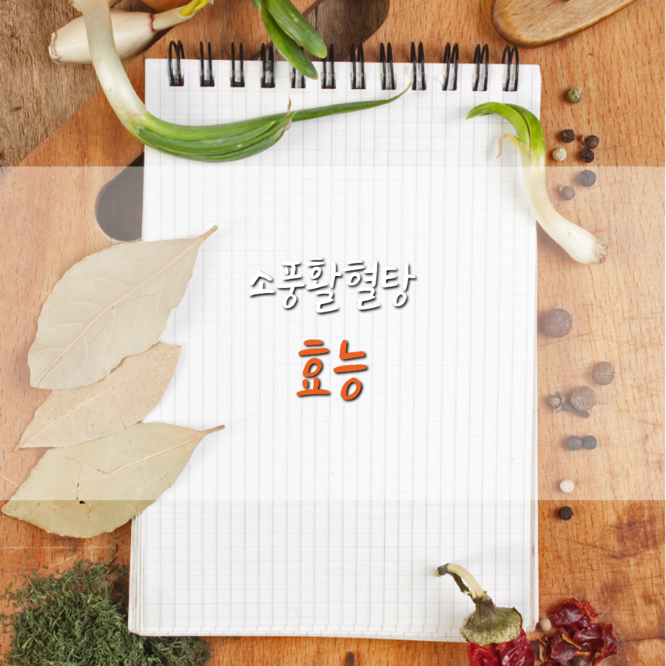 소풍활혈탕의 효능